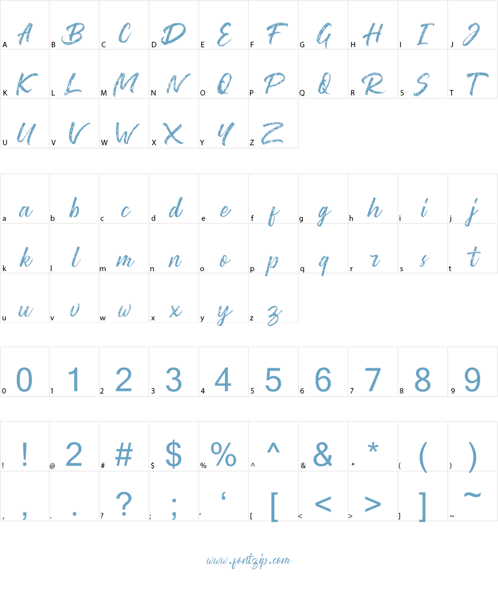 Washington ~ Rough Script DEMO Font Character